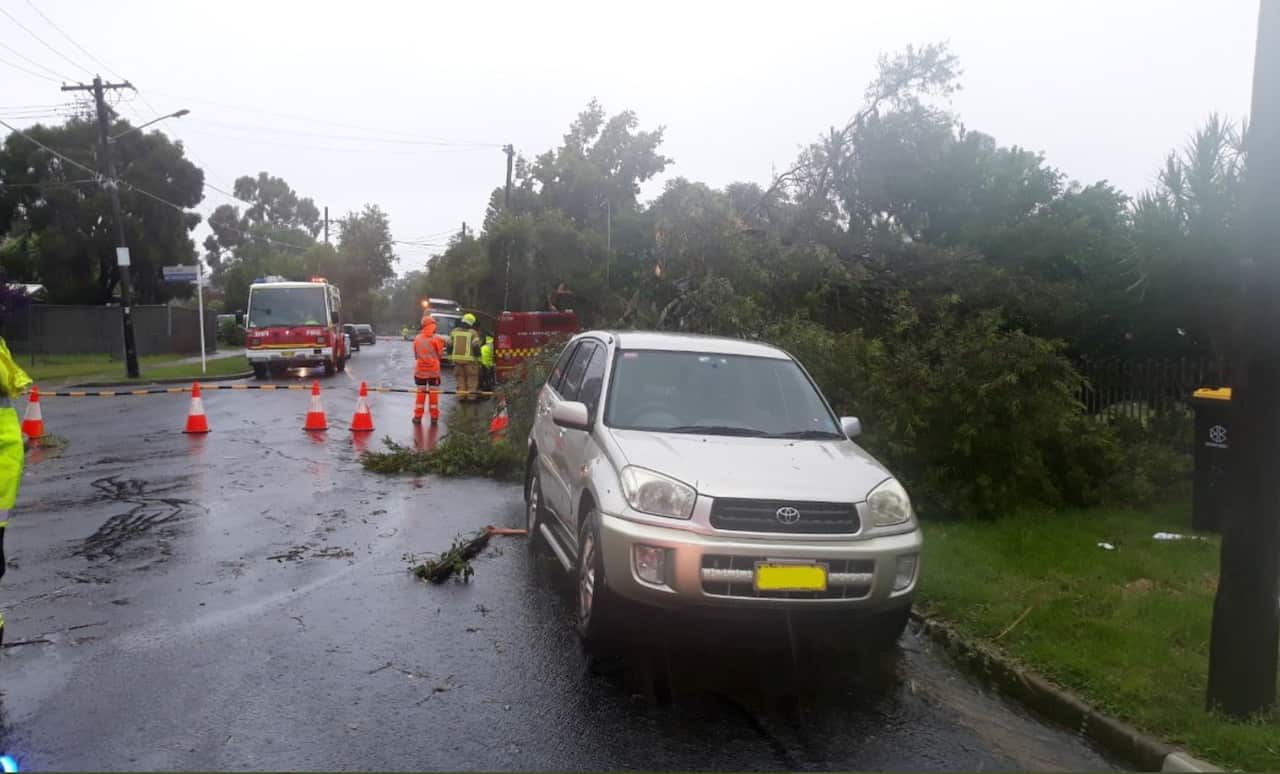 More than 30 homes were damaged after a storm ripped through Sydney's Chester Hill on Saturday.