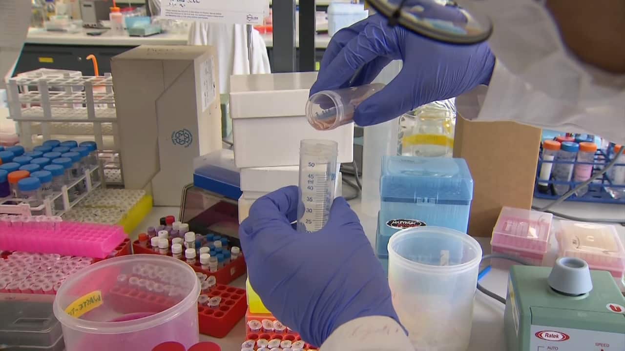 Are scientific studies sexist?