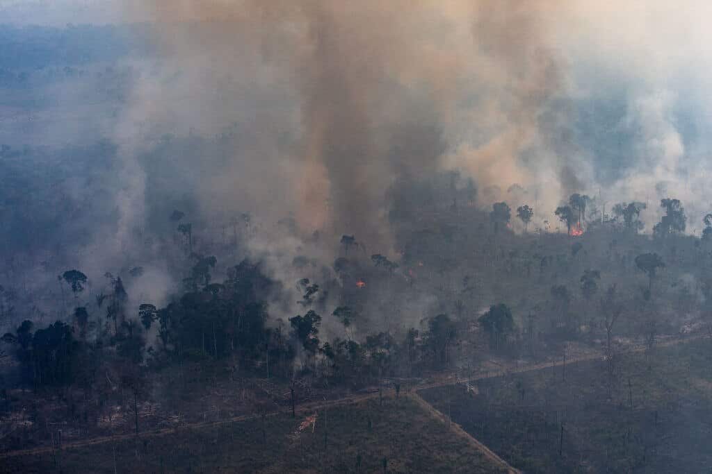 A fire burns in a section of the Amazon rainforest on August 25, 2019 in Porto Velho, Brazil.