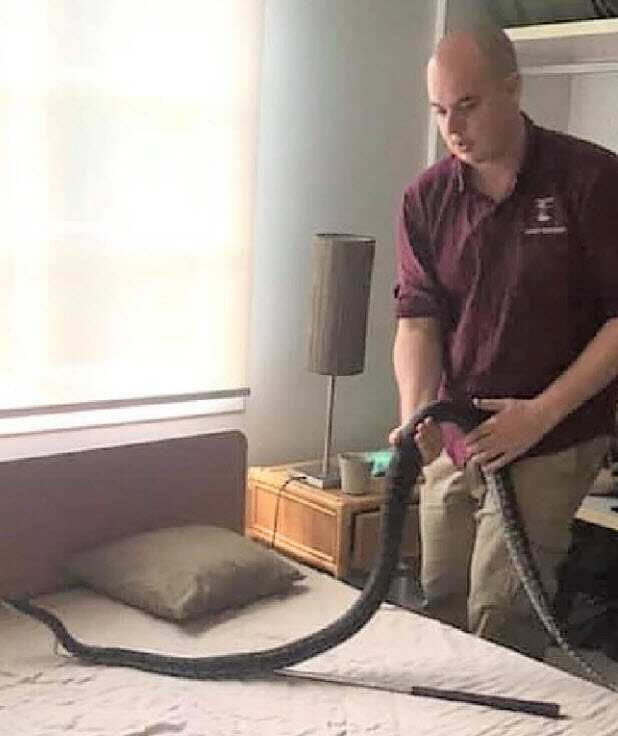 The snake being removed from Sally Stent's home.