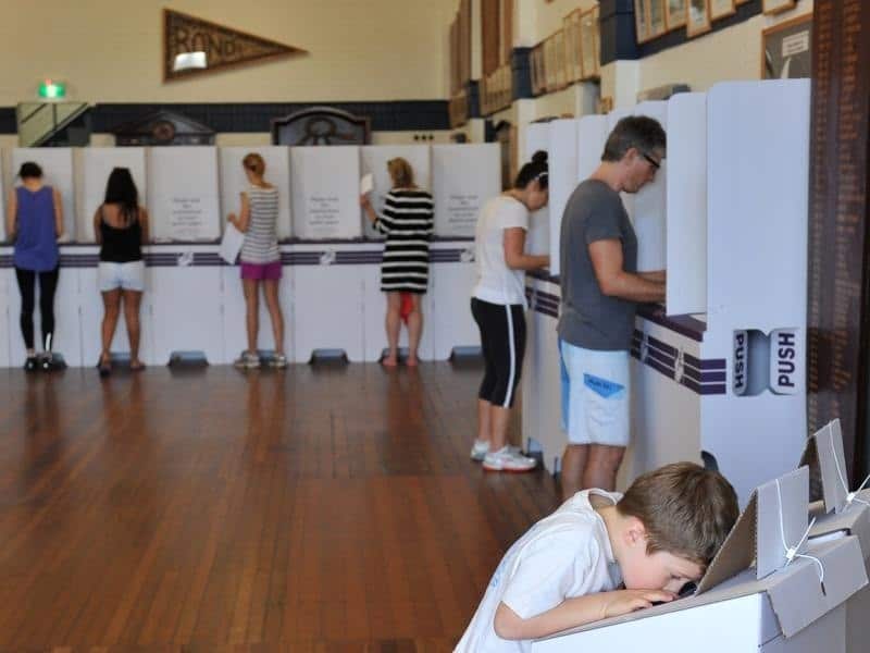 A young boy looks into a ballot box