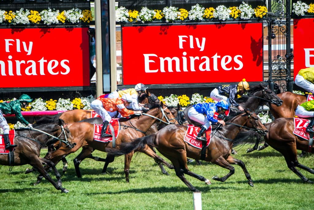 2. 穿上华服，体验一把让整个国家为之癫狂的赛马节。