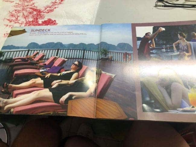 “Sunning on the deck chairs. No way!!!”. Picture: Lynne Ryan