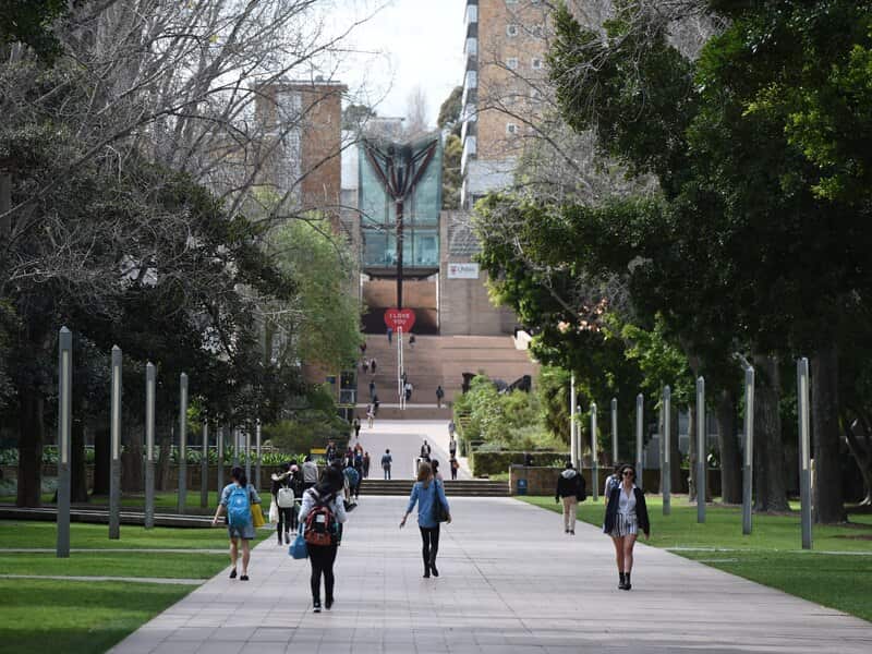 A view of the University of NSW in Sydney