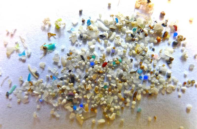 microplastics from the ocean