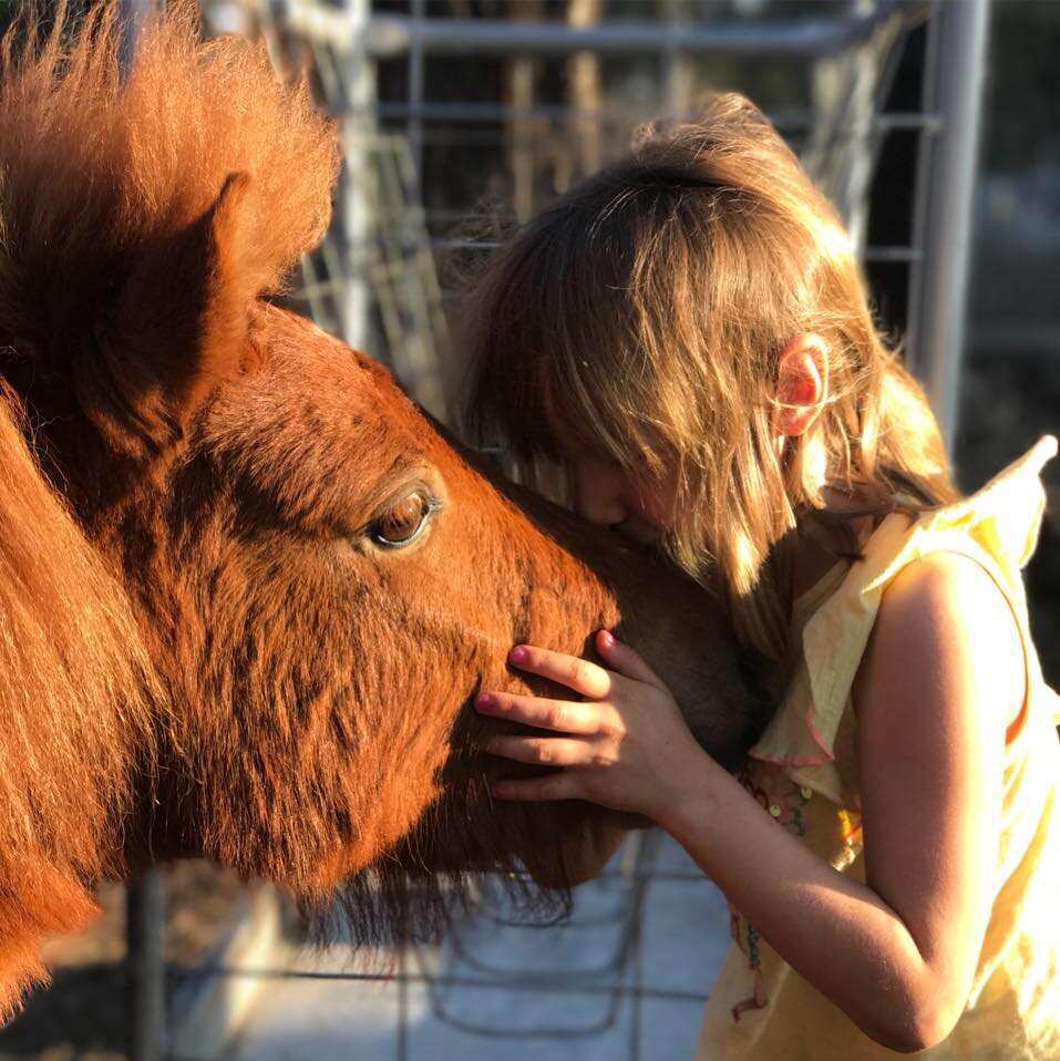 Trải nghiệm tại khu nghỉ dưỡng nông trại sinh thái Tweeters Country Getaway