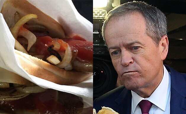 Bill Shorten a comer uma salsicha durante as eleições, pré-Covid