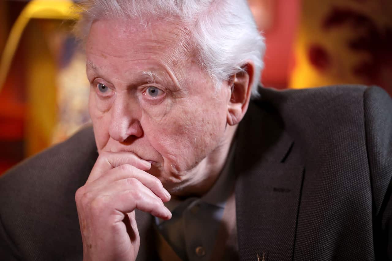 Sir David Attenborough warns the 'moment of crisis' on climate change has arrived.