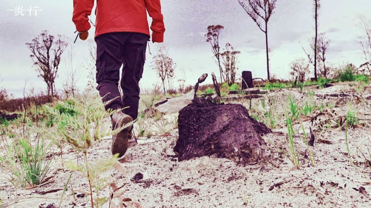 韩金玲和一炎一行