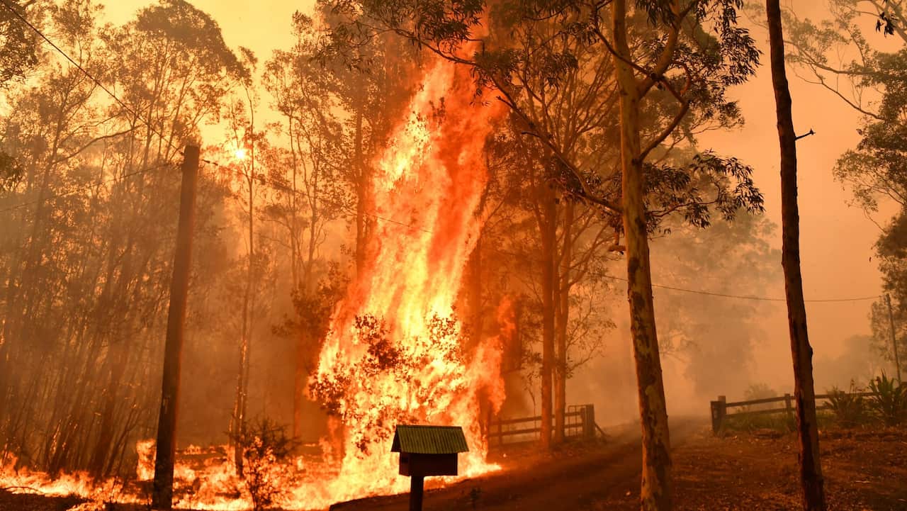 A fire going through a fence during a bushfire in Werombi, 50km south west of Sydney, on 6 December 2019.
