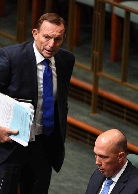 Former prime minister Tony Abbott and former minister for Home Affairs Peter Dutton on the backbench.