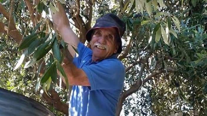 Jack Condous is well-known in Adelaide for sharing his garden products with his neighbors. 