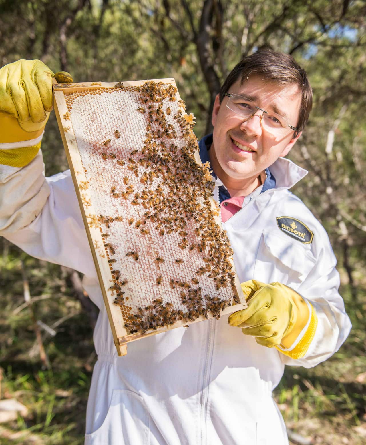 Australian Honey Biosota