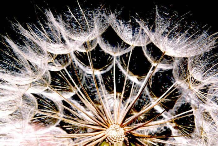 Macedonian Photography