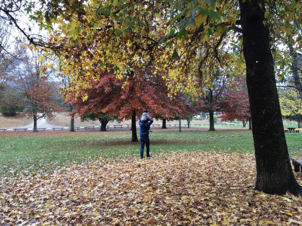 Đây là một sự lựa chọn cân bằng từ nhiều yếu tố. Nếu trường tốt mà ai cũng muốn vào thì ở khu nhà ở quá đắt đỏ, cha mẹ không kham nổi. Còn nếu trường tốt mà ở quá xa thì không tiện để đưa đón con, đi làm và dành thời gian cho con. 