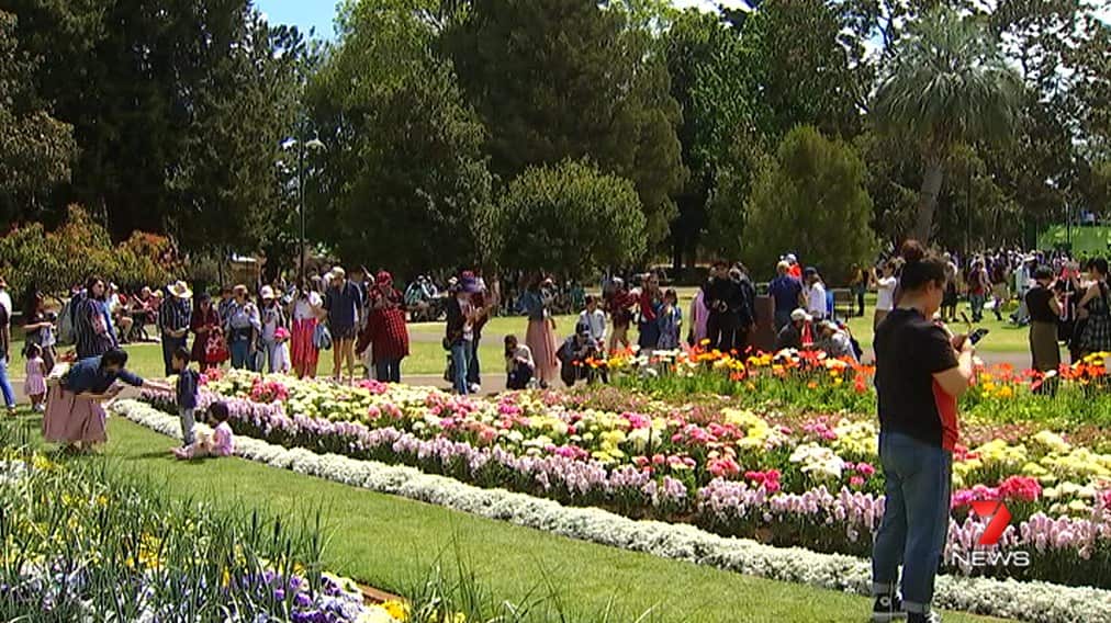 Toowoomba Carnival of Flowers 