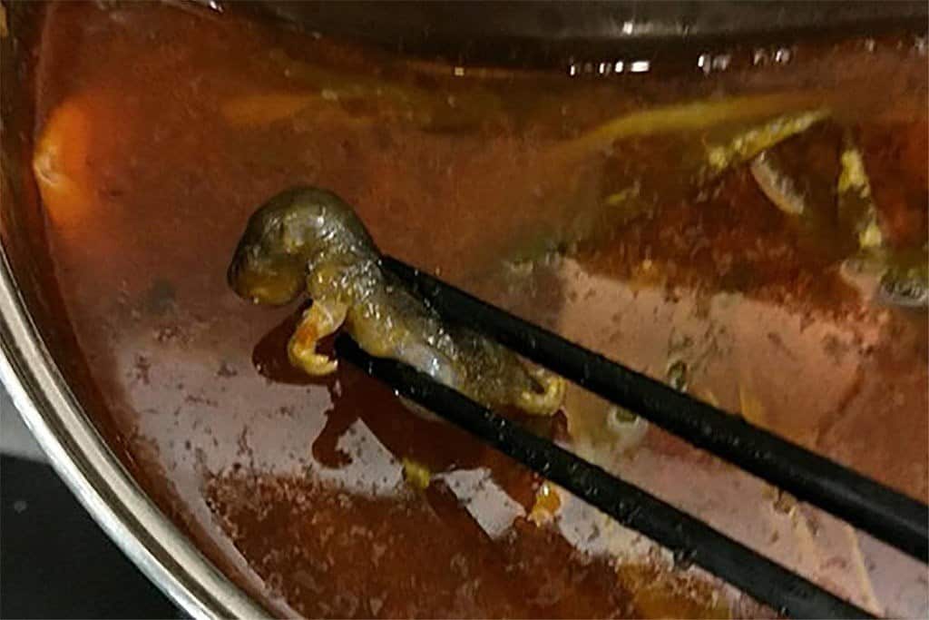 中国某连锁火锅店汤中惊现老鼠