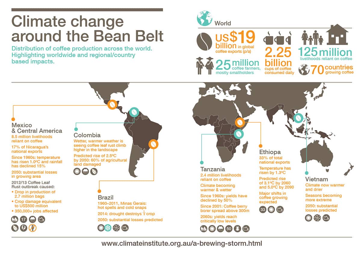 Coffee bean and climate change