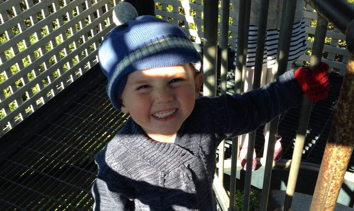William Tyrrell disappeared from his grandmother's yard in 2014. 