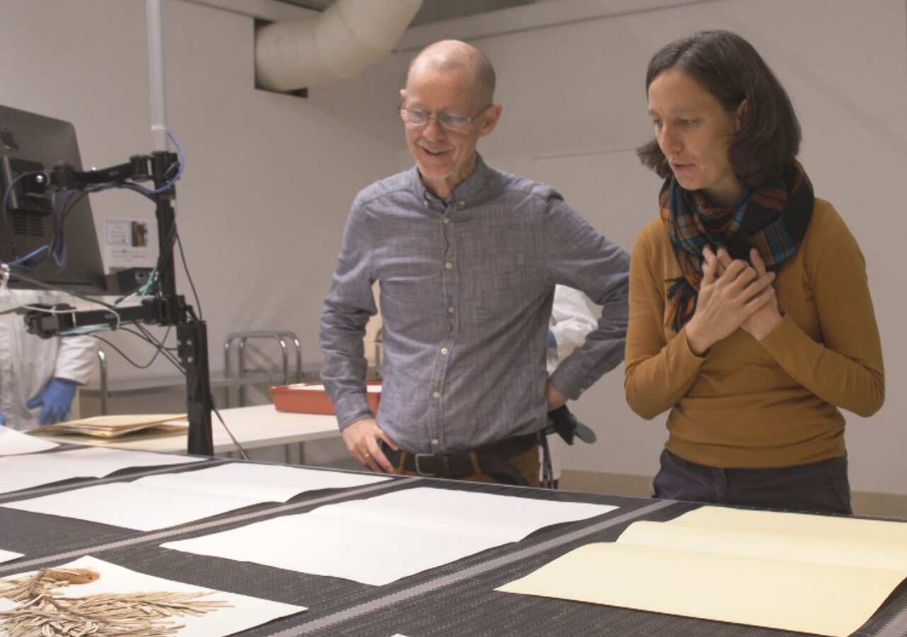 Dr Brett Summerell and Dr Rachael Gallagher watch plants being digitised, at the National Herbarium of NSW.