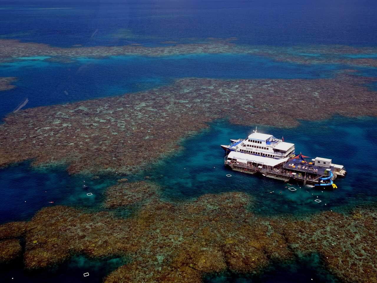 For the Great Barrier Reef, located off the coast of Australia, the marine heat wave resulted in severe bleaching events.