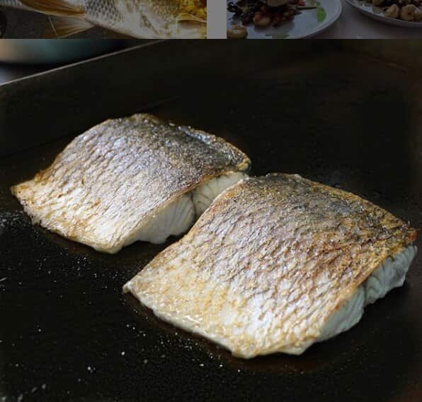 Barramundi 