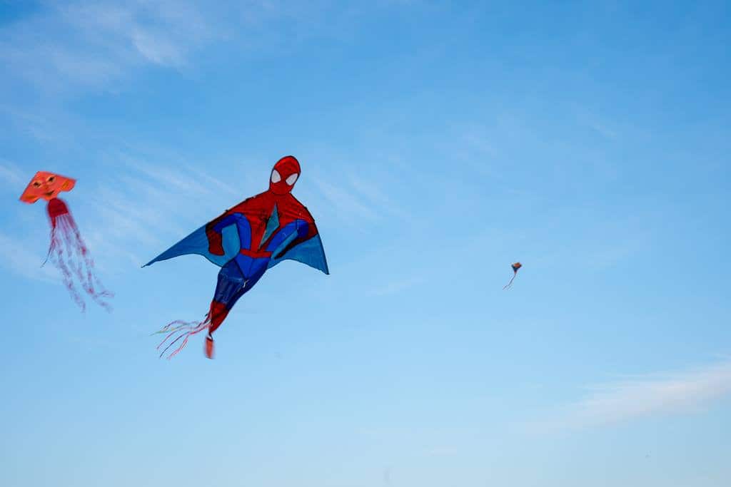 Kite Festival