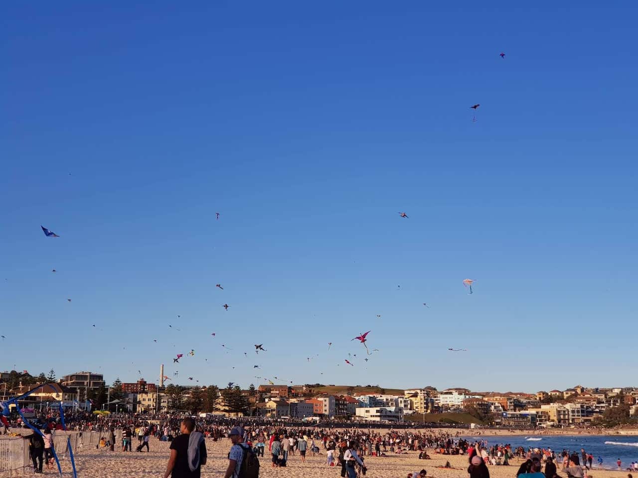 Kite Festival