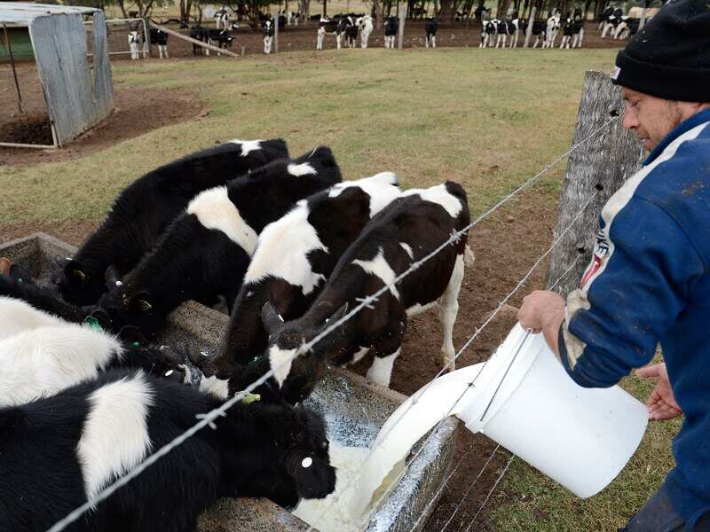 Victorian government wants you to 'Click for Vic' to support State local businesses