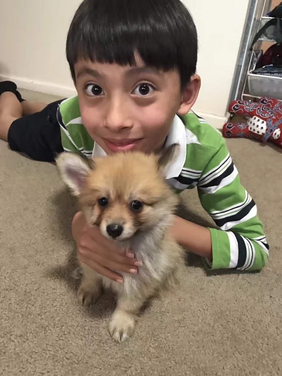 朱童鞋和他心爱的狗狗