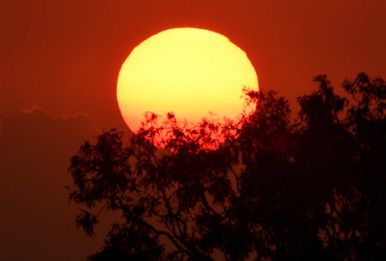 The hot sun rises over bushland on the eastern seaboard of Australia at the Queensland-New South Wales border.