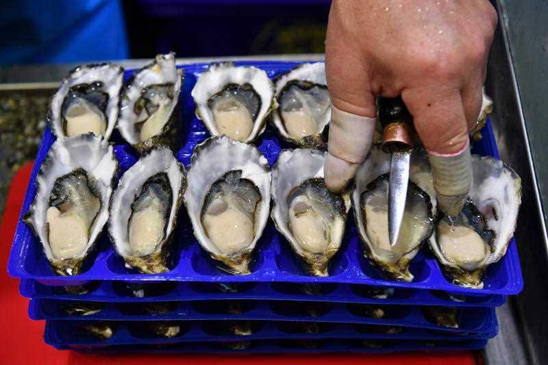 Oysters on sale at the Sydney Fish Market.