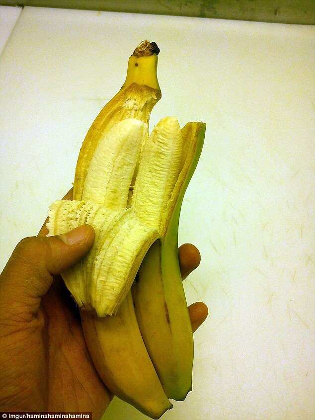 This person was lucky enough to have bought a double banana - two of the fruit which had fused together