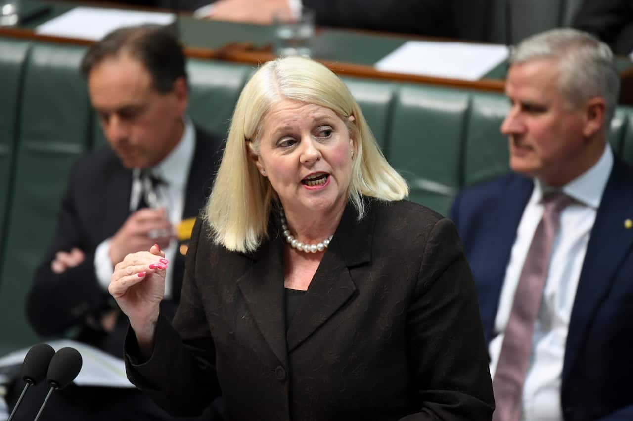 Science Minister Karen Andrews speaks at Parliament House in Canberra.