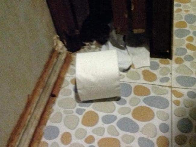 ”Rat house under the sink in the bathroom,” she said. Picture: Lynne Ryan