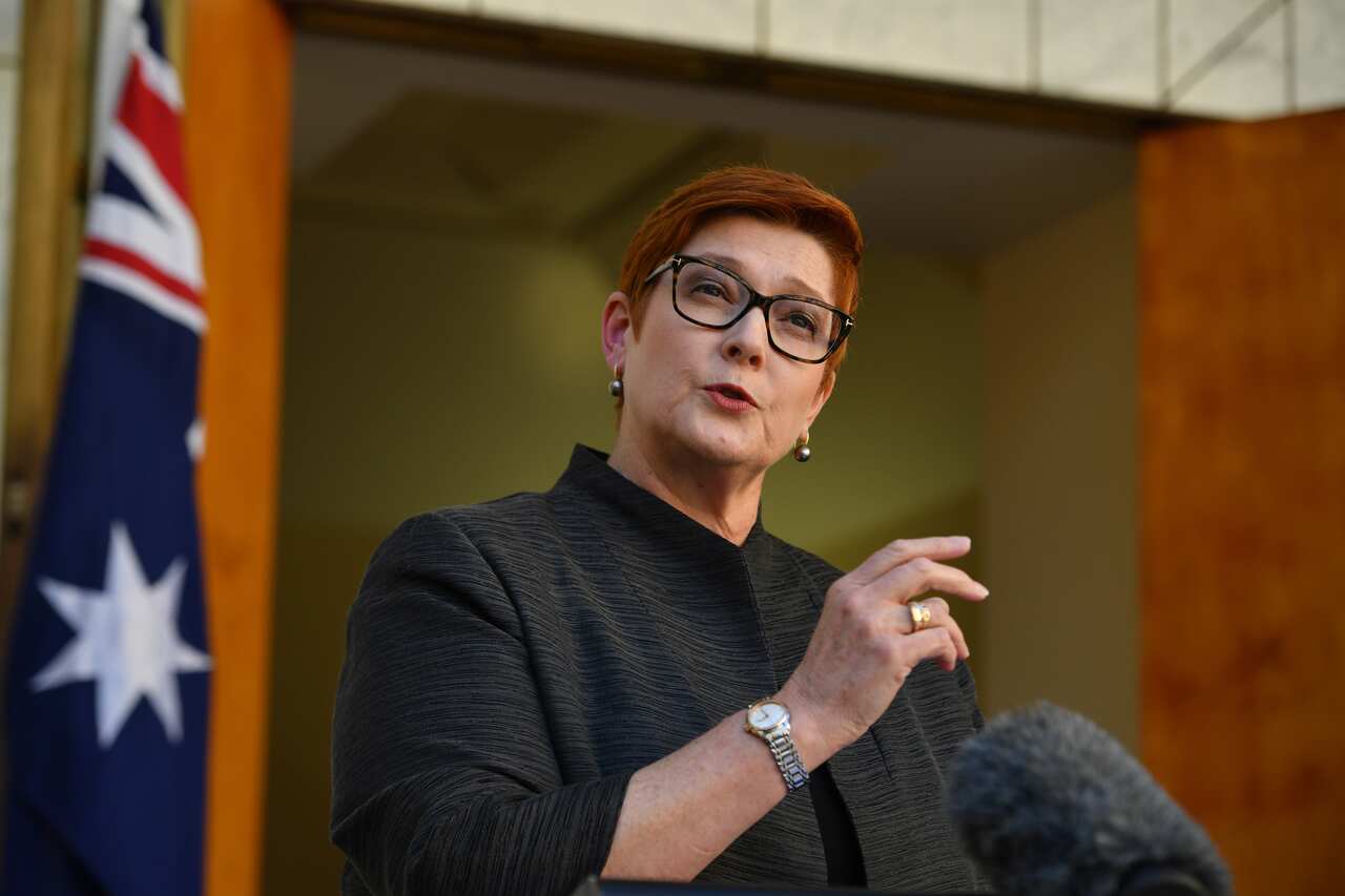 Minister for Foreign Affairs Marise Payne addresses the media at a press conference at Parliament House in Canberra