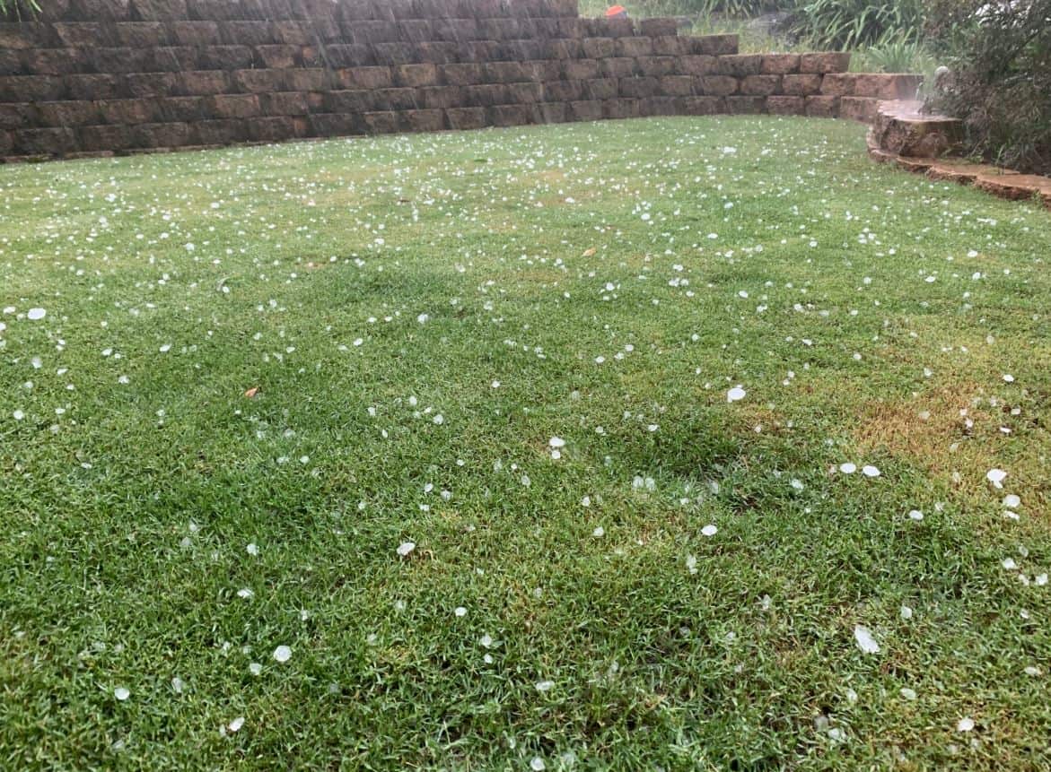 Thunderstorms brought down trees and hammered some areas with large hailstones.