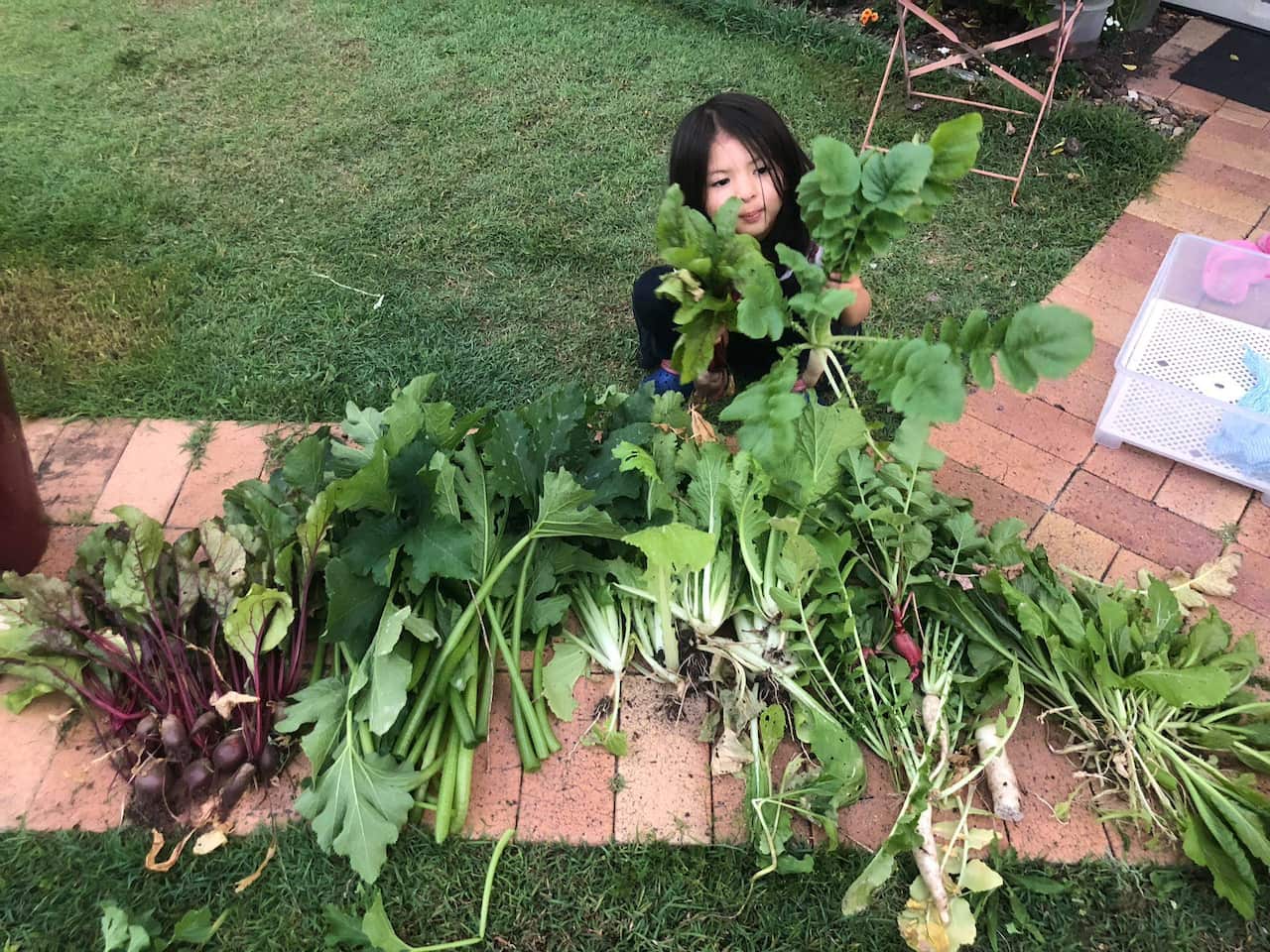 Với sự khéo tay và chăm chỉ, khu vườn của gia đình chị Mai Lan ở ngay trung tâm của tiểu bang Queensland luôn đầy ắp rau xanh, hoa thơm, trái ngọt.