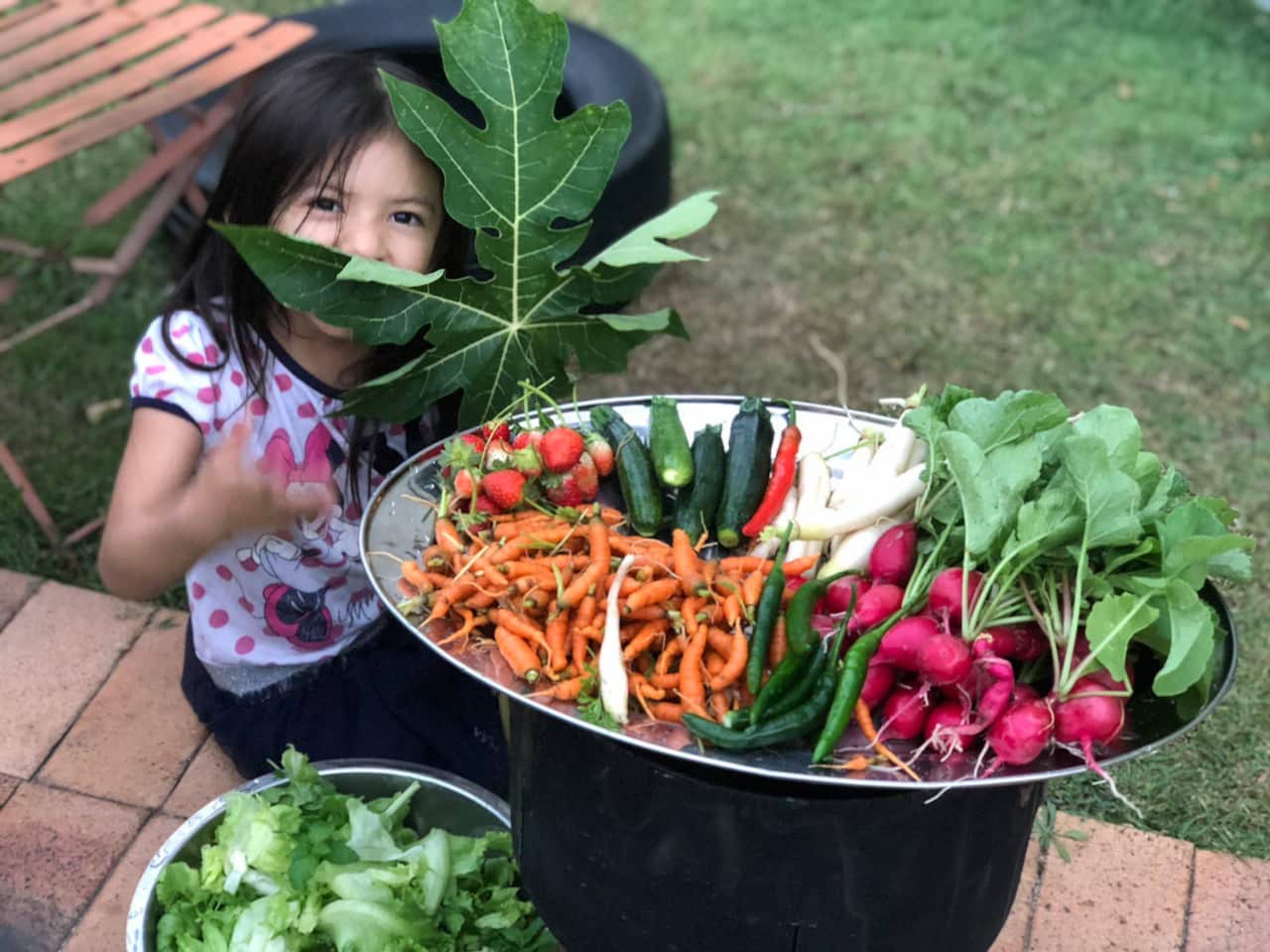 Khi các con ăn sạch, ăn các thực phẩm hữu cơ do mình trồng sẽ yên tâm không lo lắng về chất hóa học diệt côn trùng, hạn chế được rất nhiều nguồn bệnh bủa vây