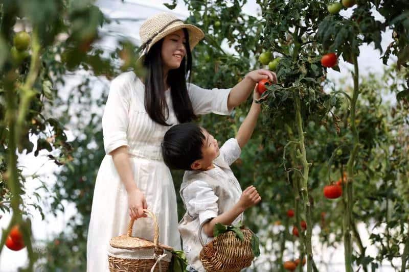 美食博主雯婷茜子和孩子