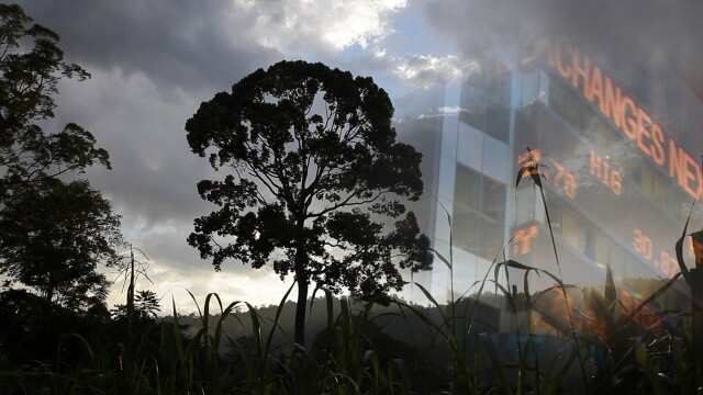 Australia’s animal extinction crisis