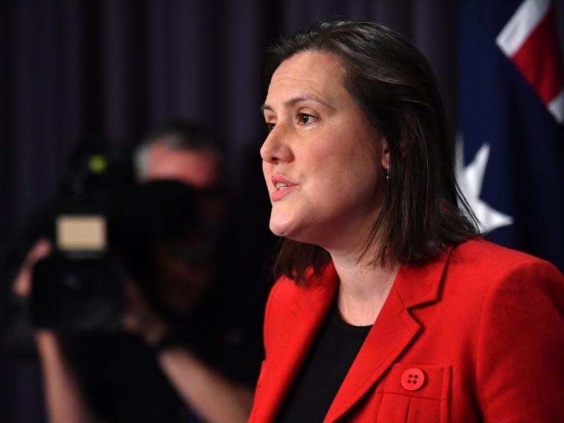 Kelly O'Dwyer at a press conference.