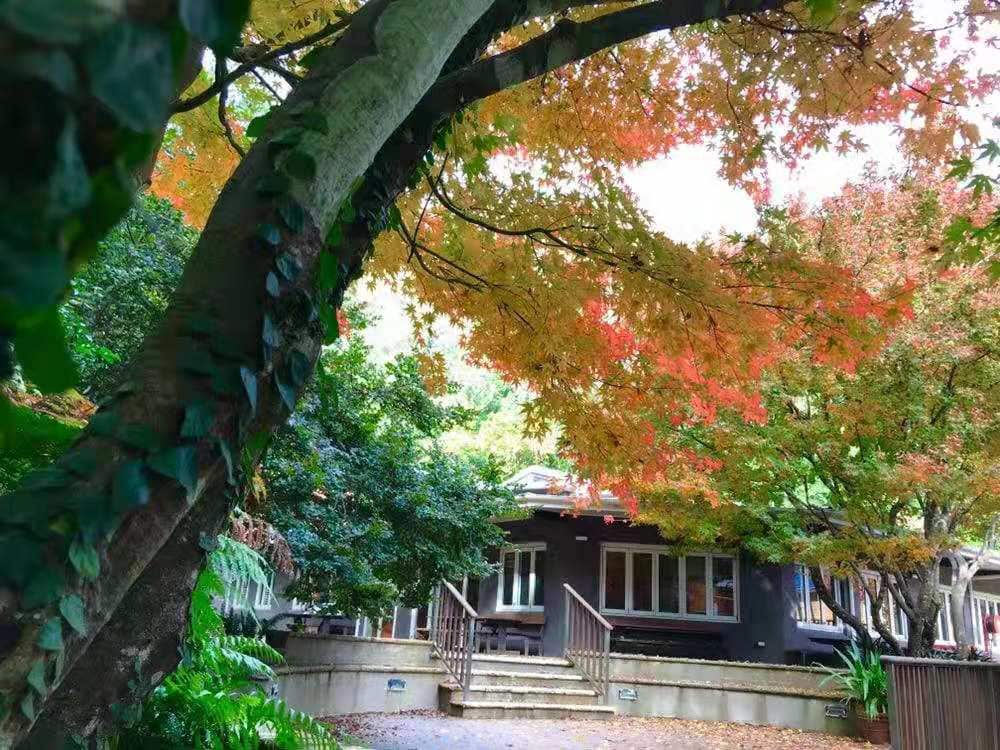 非同所打理的营地