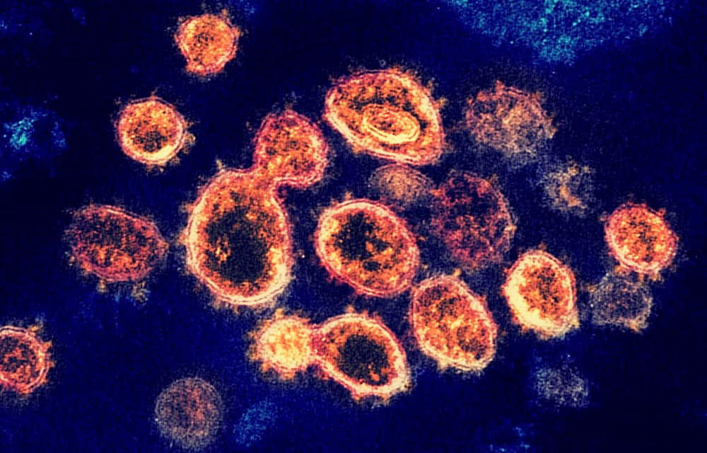 El posible contagio con enfermedades como el dengue, el mal chagas, el paludismo,  el chikungunya, el ébola y otras, impiden ser donante de sangre en Australia.