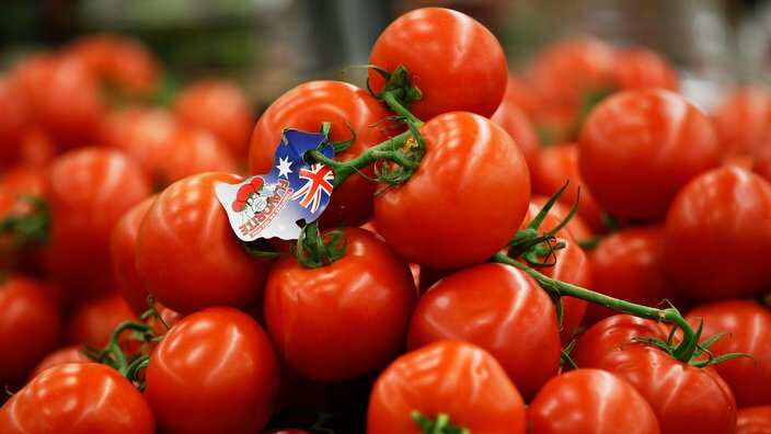Label on the tomatoes in a super market in Australia