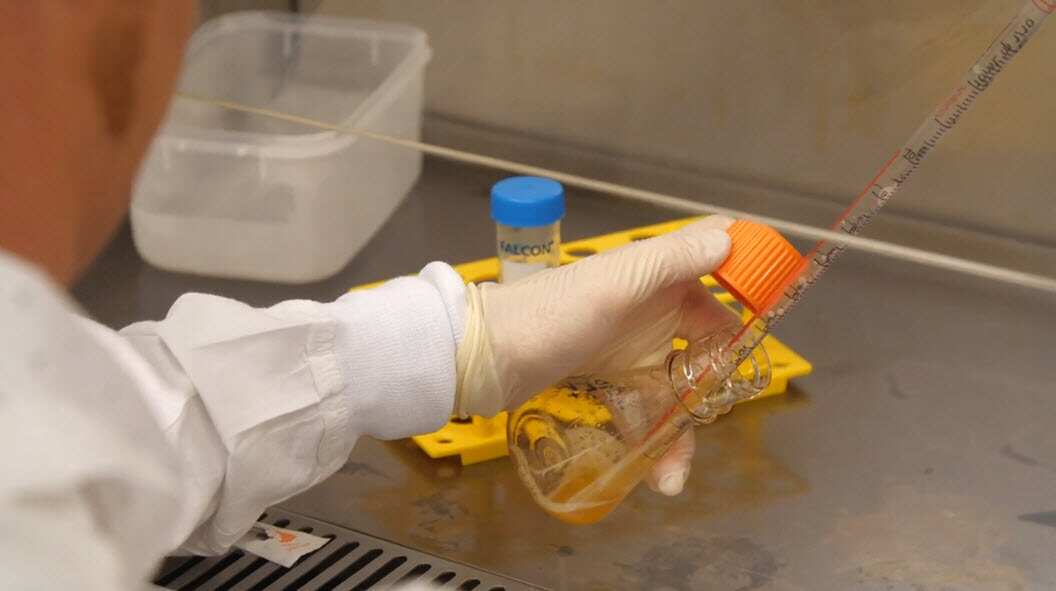 A University of Queensland team has met a key milestone in their fast-tracked research to develop a vaccine for the coronavirus, COVID-19.