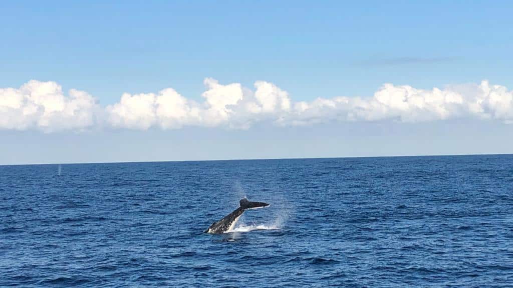 community news regional tourism