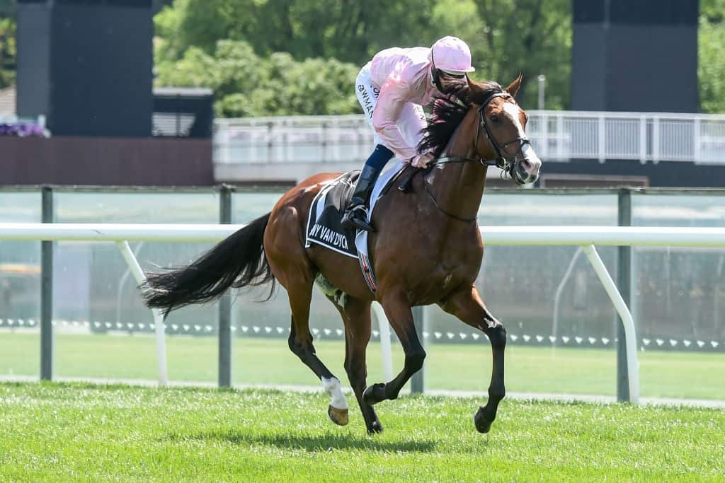 Anthony Van Dyck (IRE) ridden by Hugh Bowman prior to the Lexus Melbourne Cup at Flemington Racecourse on November 03, 2020 in Flemington, Australia. (Brett Holburt/Racing Photos) 