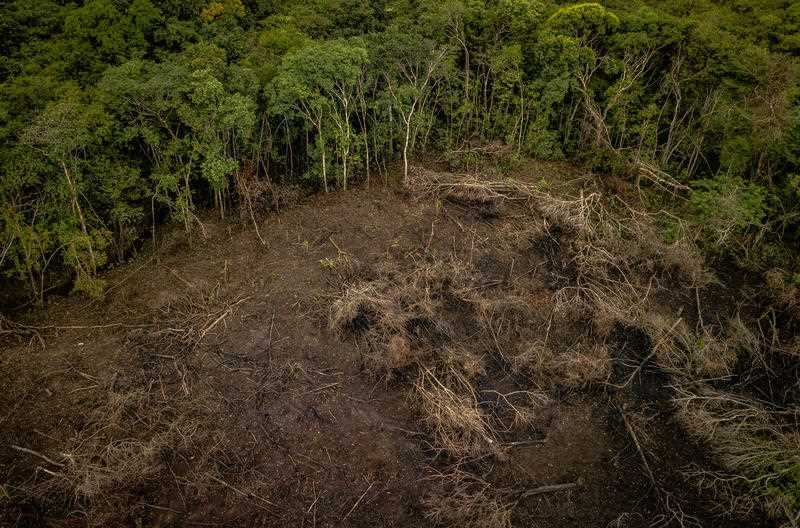 Undated handout photo issued by the World Wildlife Fund UK (WWF) of an area of deforestation in the Colombian Amazon 