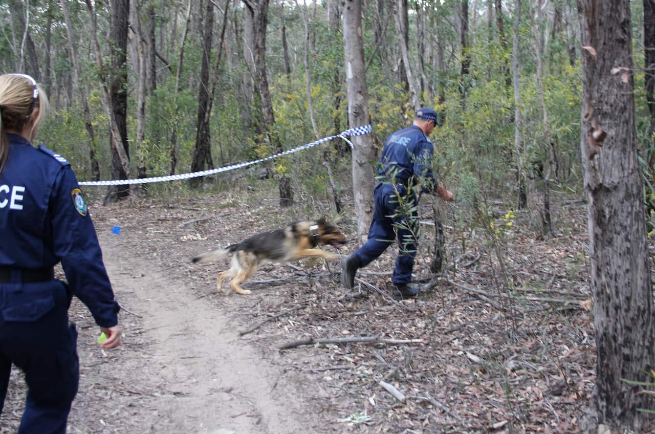 Police search Belanglo State Forest in southern NSW, in 2010 after skeletal remains were found. Milat disposed of his bodies in the heavily-wooded forest. 